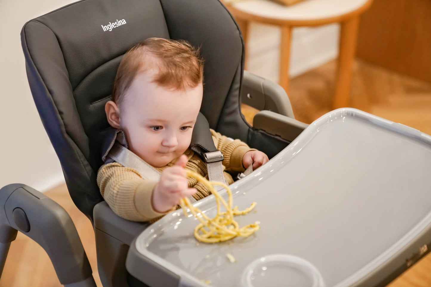 Inglesina MyTime High Chair - Pepper