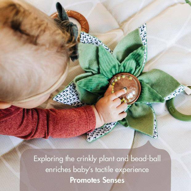 Tiny Love Boho Chic Luxe Developmental Gymini