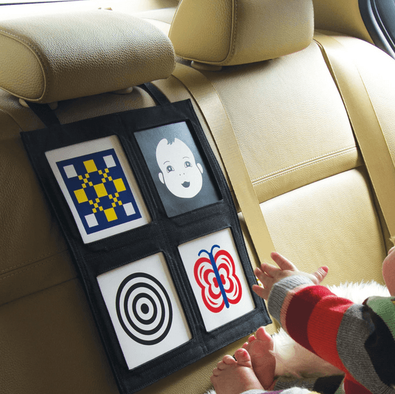 Manhattan Toys Wimmer-Ferguson Car Seat Gallery - Traveling Tikes 