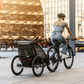 Thule Chariot Lite 2-Seat Multisport Bike Trailer Agave Green - Traveling Tikes 