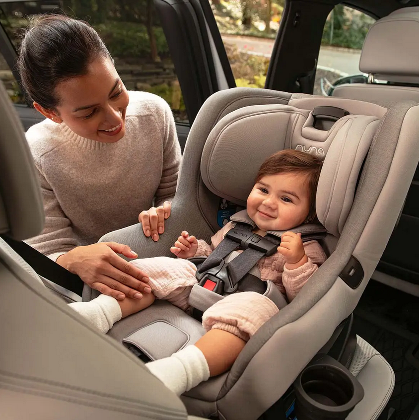 Collection Image