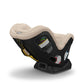 UPPAbaby Rove Convertible Car Seat - Kavneer - Almond Mélange