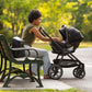 Nuna TRIV lx + PIPA urbn Travel System - Caviar