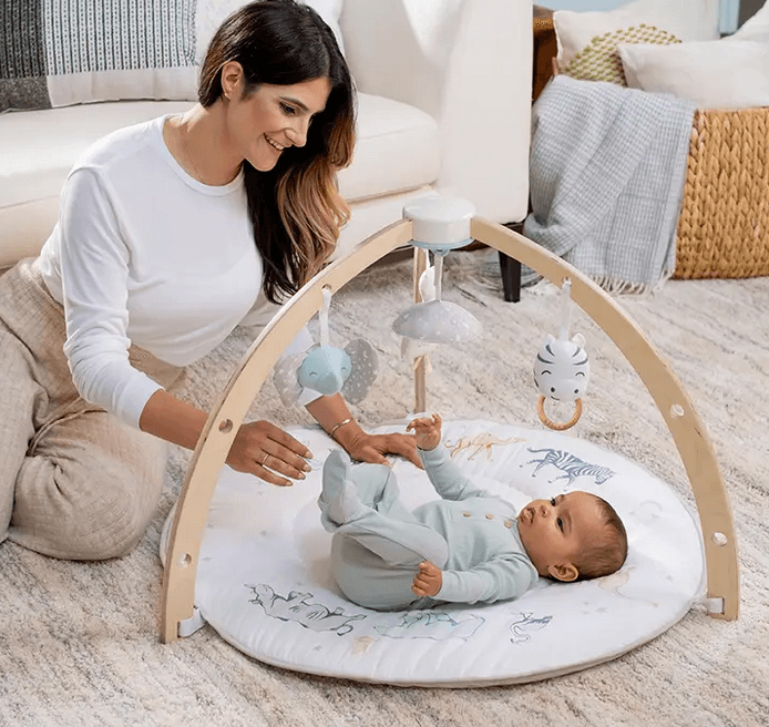 Aden and Anais Baby Activity Gym - Traveling Tikes 