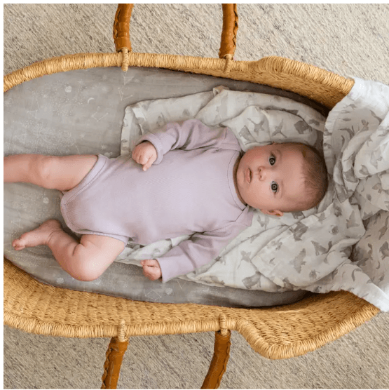 Aden and Anais Organic Cotton Swaddles 4 Pack - Map The Stars - Traveling Tikes 