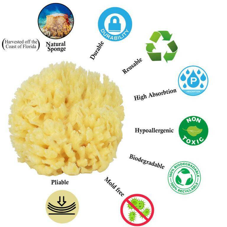 Baby Buddy Natural Bath Sponge-Wool