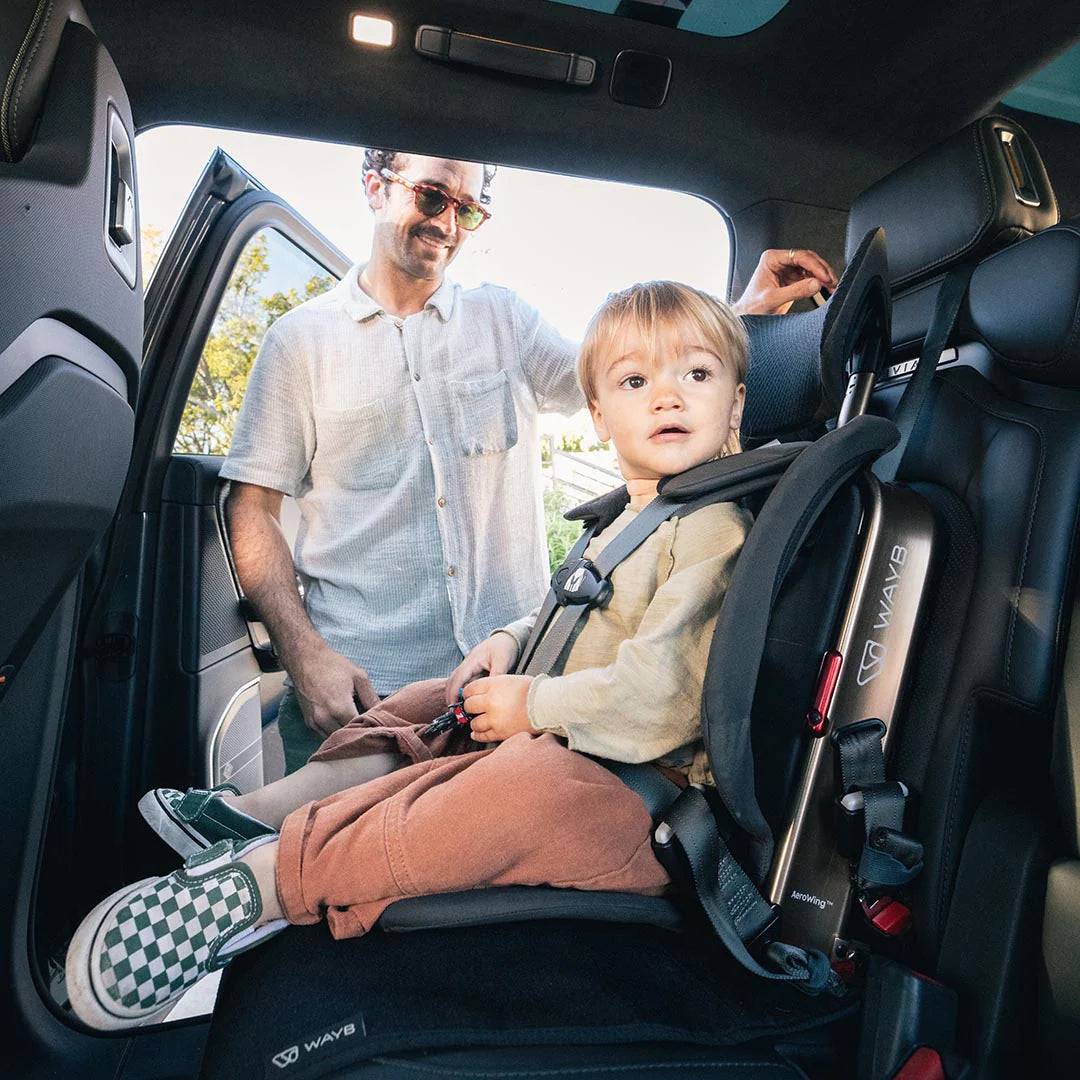 WAYB Pico Portable Car Seat - Earth - Traveling Tikes 