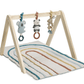 Itsy Ritzy Bitzy Bespoke Ritzy Activity Gym - Traveling Tikes 