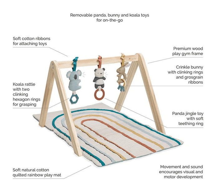 Itsy Ritzy Bitzy Bespoke Ritzy Activity Gym - Traveling Tikes 