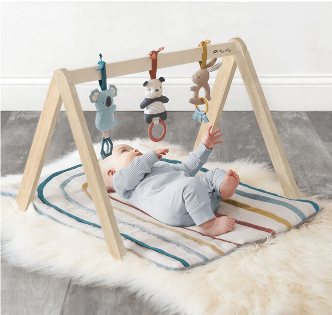 Itsy Ritzy Bitzy Bespoke Ritzy Activity Gym - Traveling Tikes 