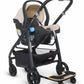 UPPAbaby PiggyBack for CRUZ V2 Strollers - Traveling Tikes 