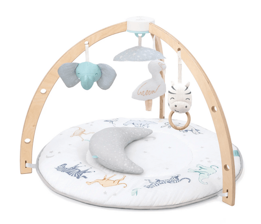 Aden and Anais Baby Activity Gym - Traveling Tikes 