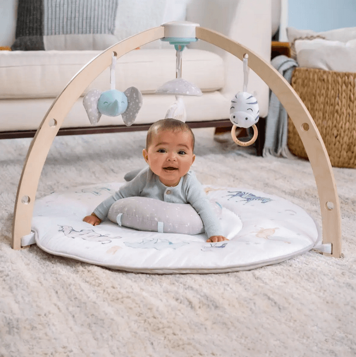 Aden and Anais Baby Activity Gym - Traveling Tikes 
