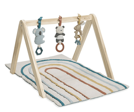 Itsy Ritzy Bitzy Bespoke Ritzy Activity Gym - Traveling Tikes 